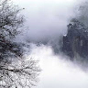 Meet your Posher, Eliza